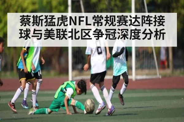 蔡斯猛虎NFL常规赛达阵接球与美联北区争冠深度分析（kaiyun）
